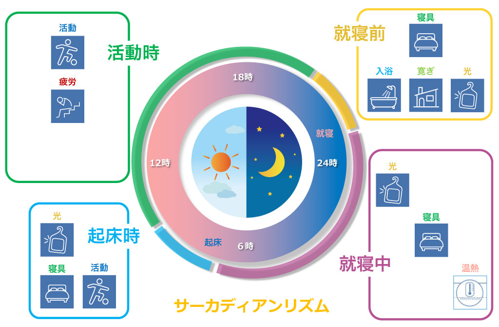 寝具と睡眠 | Good Sleep コンソーシアム（ぐっすりコンソ）